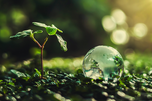 La importancia de usar productos de limpieza eco-amigables para el medioambiente